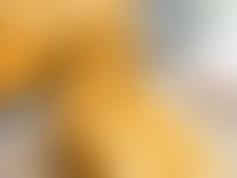 Easy Vegan Pumpkin Waffles using Pumpkin Puree