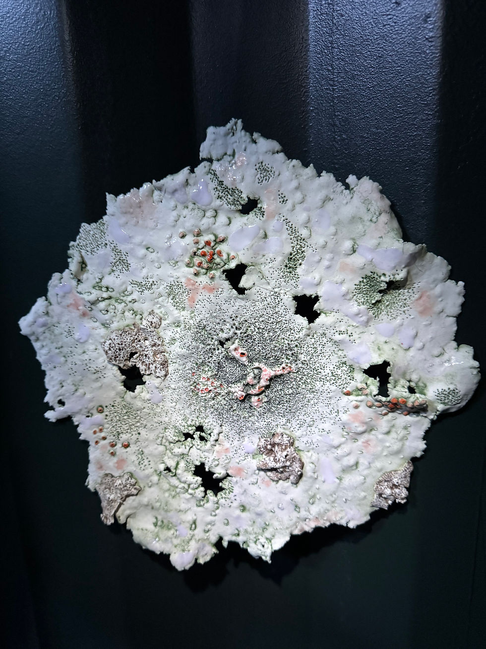 Ceramic lichen