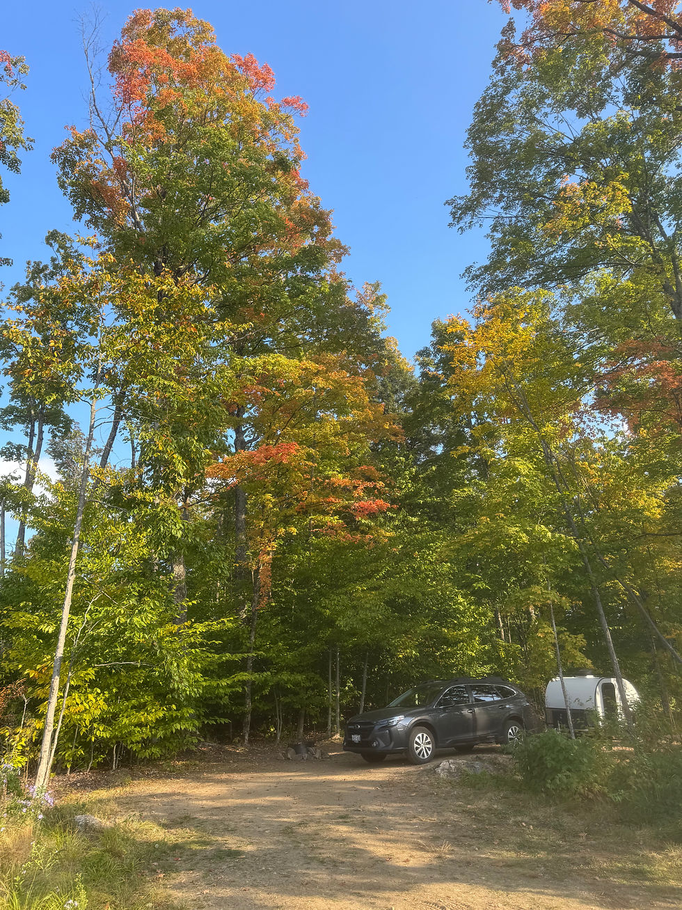My birthday campsite