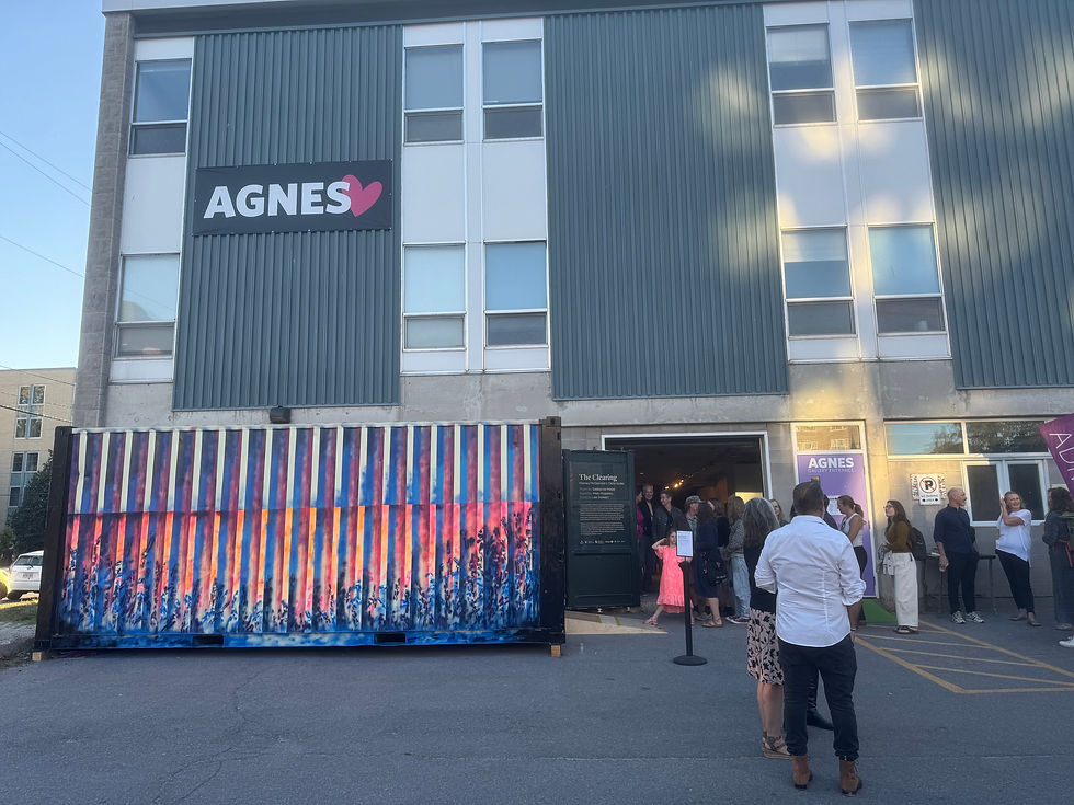 Opening night of The Clearing