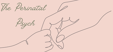 Perinatal psychologist Shellharbour Postnatal depression support NSW Pregnancy anxiety counselling Shellharbour Perinatal