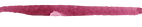 水彩ブラシ16