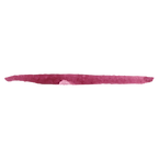 Watercolor Brush 16