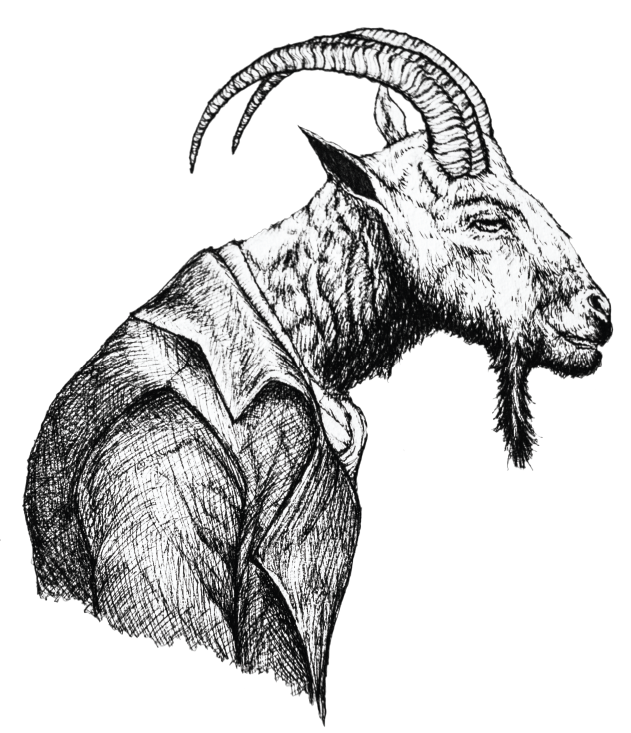 The Pushy Goat