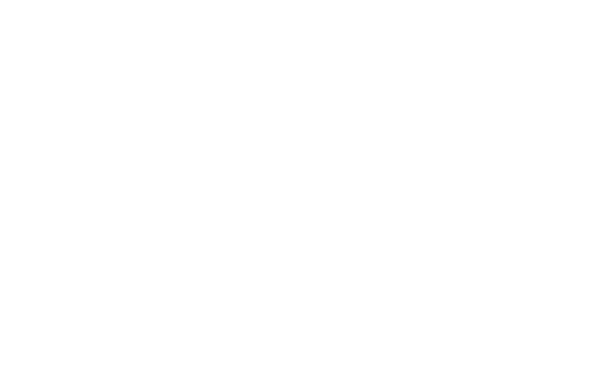 physiotherapie-annelie-schatz-logo-weiß.png