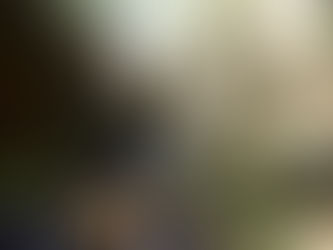 湯河原 新崎川左俣