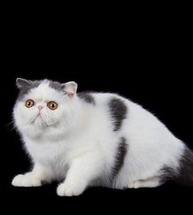 Screenshot_20220324-102812_Facebook_edit