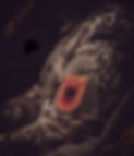 download (2).jpeg