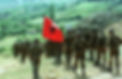 download (1).jpeg