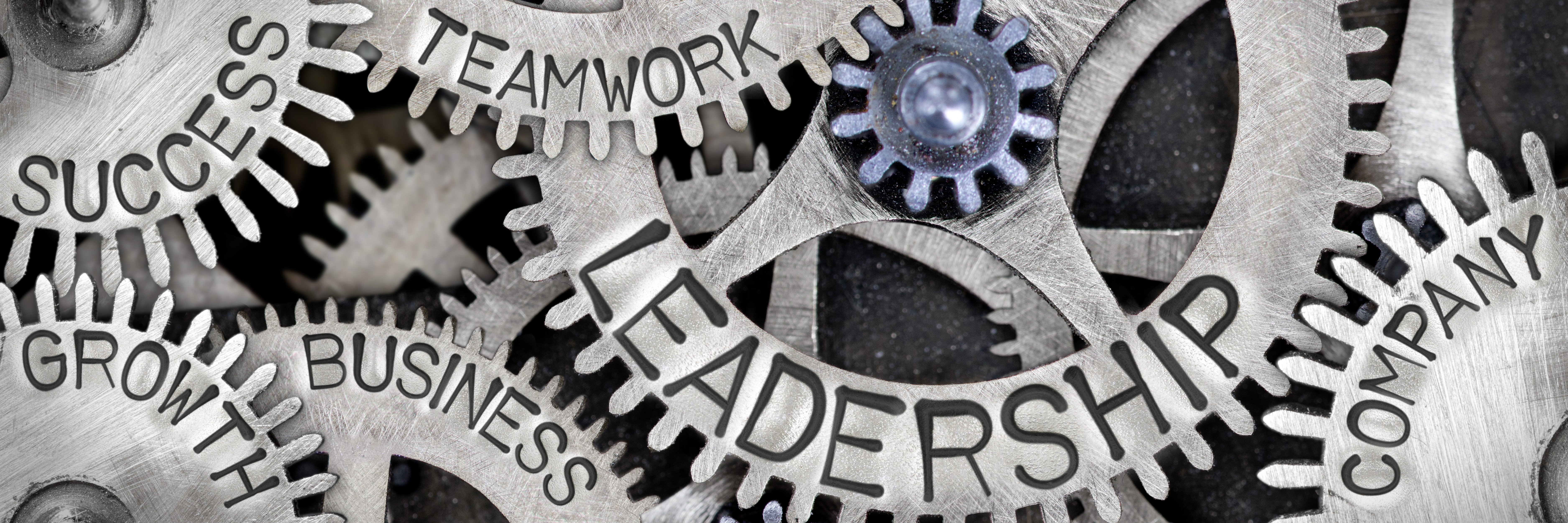 2020-Spring Leadership Foundations Program*