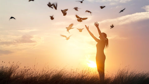 Creation and Spirituality - so what am I doing about it?