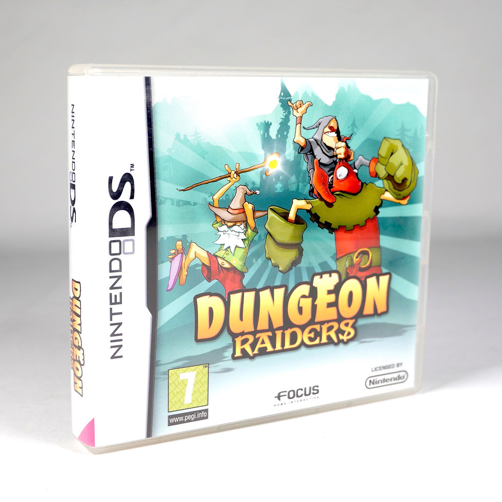 DUNGEON RAIDERS Nintendo DS Fra