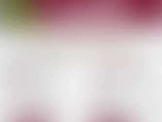 *Exhorta Gobierno Municipal de Tijuana a aprovechar los últimos días de la campaña ‘Recicla tu Árbol Navideño 2026’*