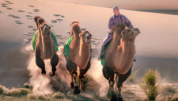 Gobi Desert