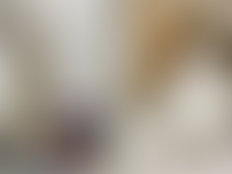 Eddie & Pauli - zwei Herzenskater suchen ihr Glück