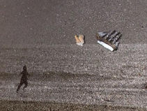 Hetzel_Suzanne-Résidence-La-Compagnie-2021-De printemps en printemps-février-Abdellah1.j