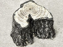 Duboc Sybille.jpg
