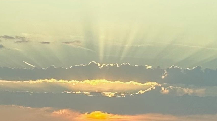Will I See My Baby In Heaven?