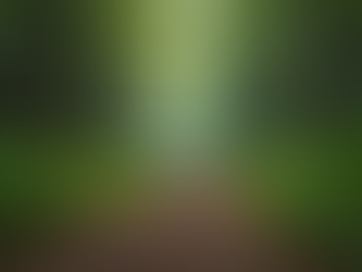 Building and Strengthening Personal Growth Resilience