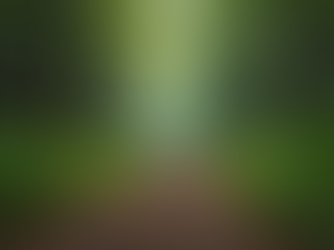 Building and Strengthening Personal Growth Resilience