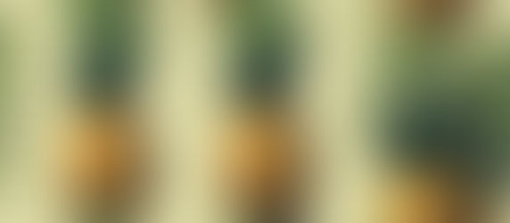 Amazing Health Benefits of Eating Pineapple Backed by Research & 10 Fun Facts About Pineapples You Might Not Know