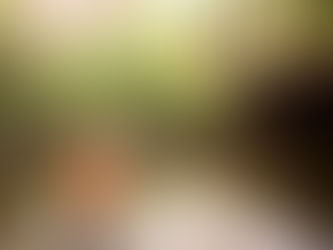 Spring, Creek and Sun - Olathe Lifestyle Photographer