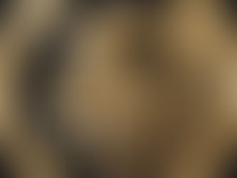 Unlocking Your Personal Power: The Empower & Elevate Manifestation Workshop