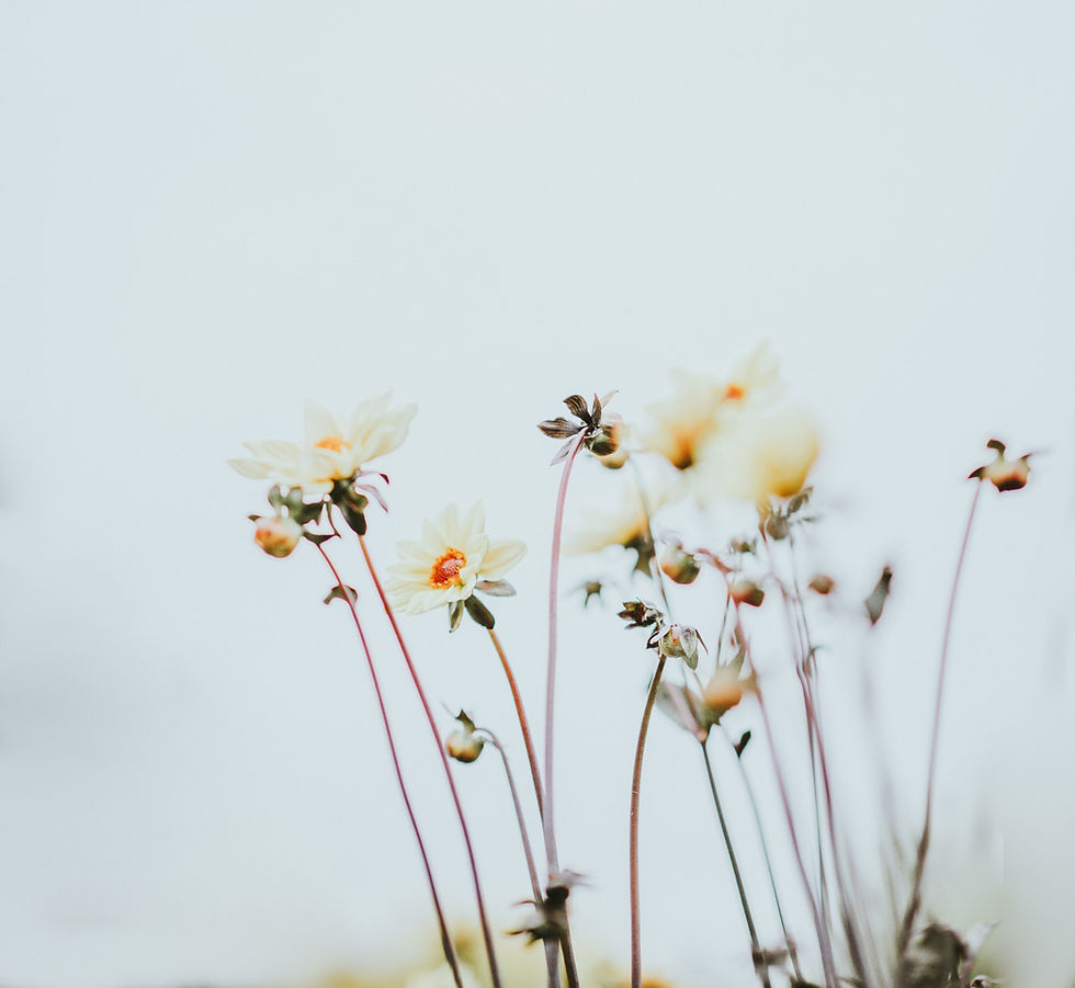 3 Spiritual Relationship Pillars That Changed My Life 