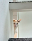 Resized_20251101_150529_edited.png