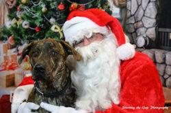 24255000_1620426991346698_4675686192498970225_o