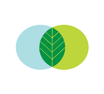 DETAIL LOGO 12.png