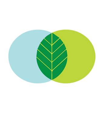 DETAIL LOGO 12.png