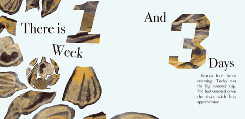 What's Inside an Olive Shell?