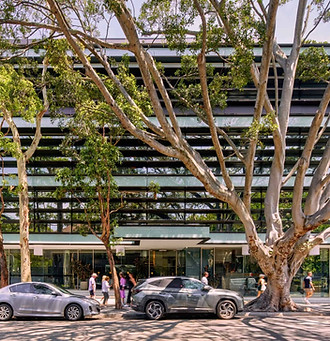 24 bay st, double bay.jpg