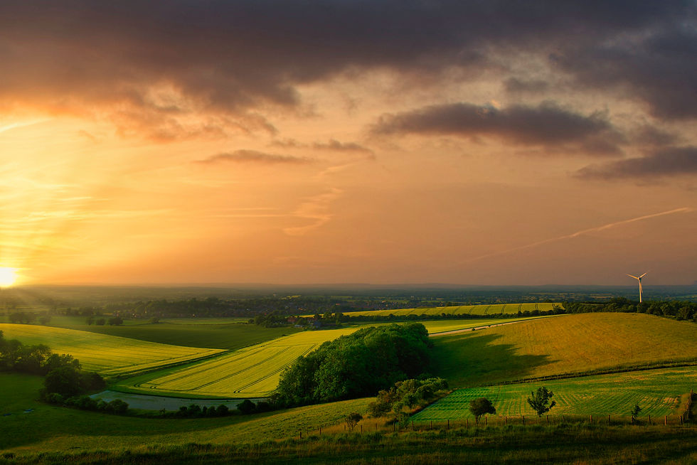 Golden Hour Over the South Downs Countryside near Lewes.jpeg