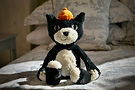 JellyCat - Jelly Cat by JonnyWattUK Aug 2025