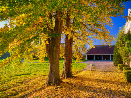Seasons Change