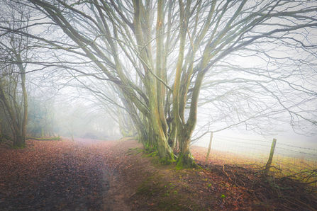 Moody Moments on the boundary by JonnyWattUK - Feb 23