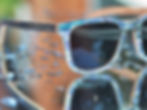 Lite Java Seashell Sunglasses