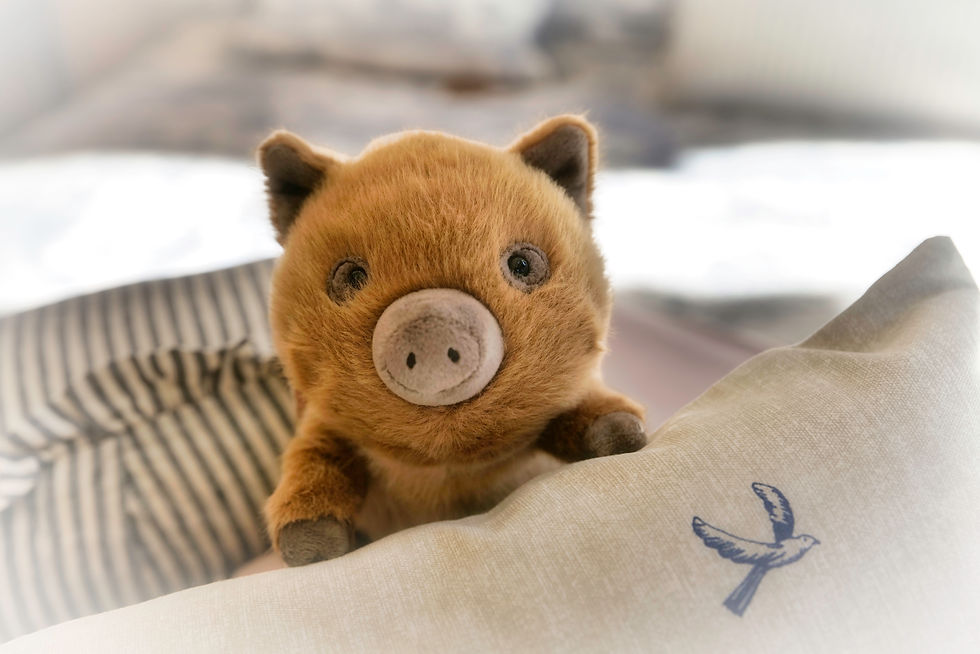 JellyCatt Animals - Swinley Boar by JWUK Aug 2025