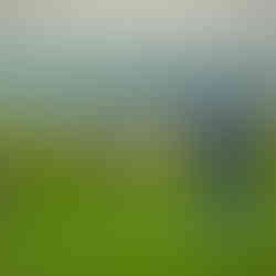 A player Tees Off the 8th at the Lewes Golf Club Pro-Am of 2024