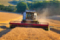 G Lincoln & Sons Agri Services Harvesting 22 Plumpton - JWUK Aug 22