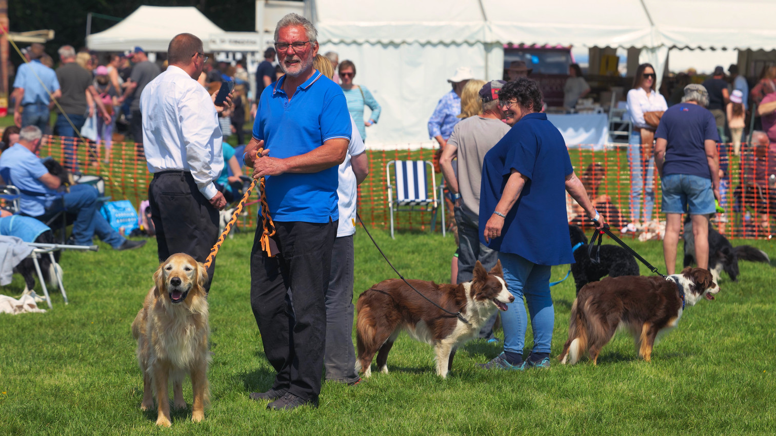 Dog Agility Sussex Weald Agility Society England