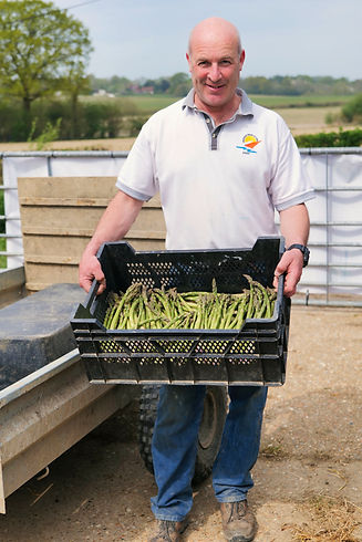 Arron & SBF Asparagus Durring Lockdown-J