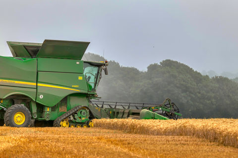 Green combine harvester harvesting wheat field