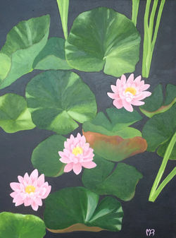 Waterlilies 3