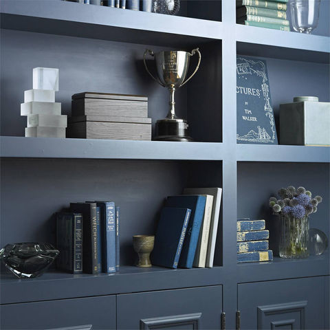 Blue bookcase with books, a trophy, decorative boxes, and a book titled 'Pictures by Tim Walker'