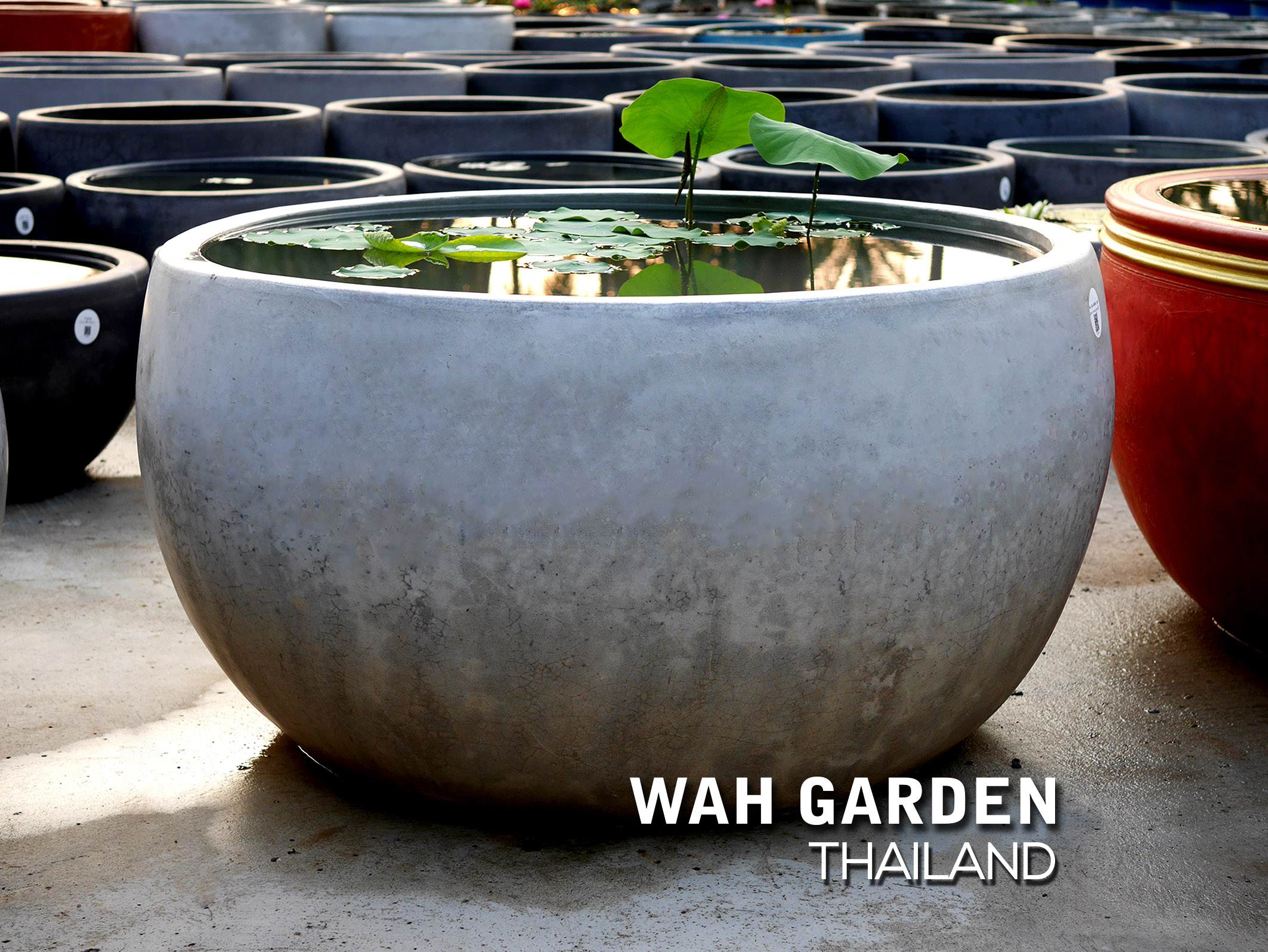 กระถางซิเมนต์ปูนเปลือย แบบที่ 25