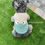 Thumbnail: Fuzzy Frog