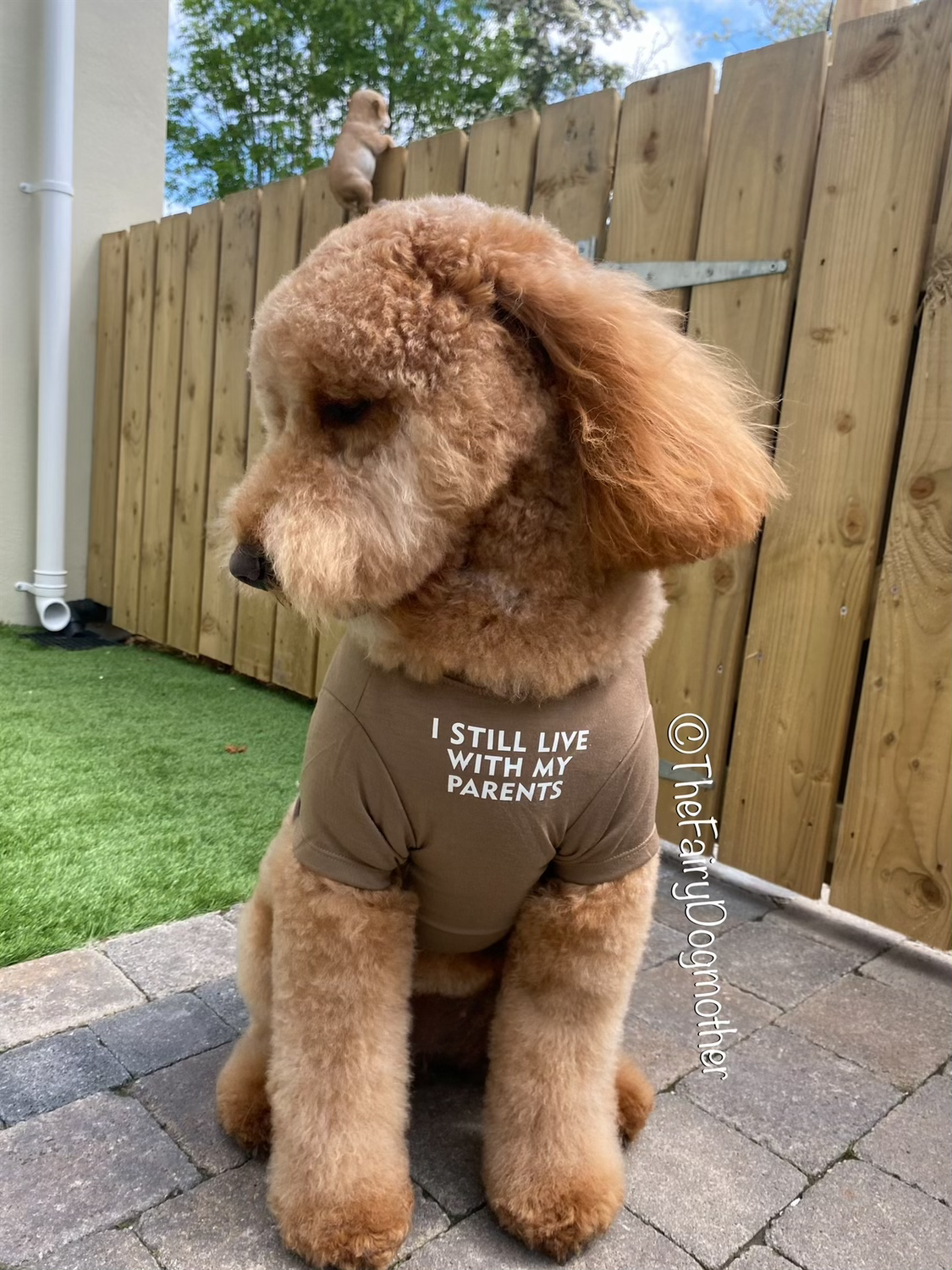 Summer Tee Shirt - Brown